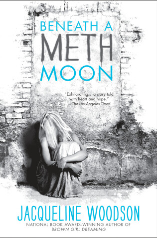 Cover of Beneath a Meth Moon