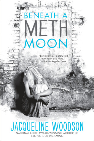 Book cover for Beneath a Meth Moon