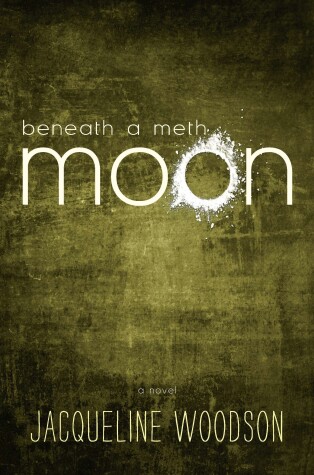 Book cover for Beneath a Meth Moon