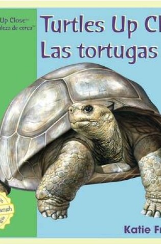 Cover of Turtles Up Close / Las Tortugas