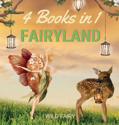 Book cover for Fairyland