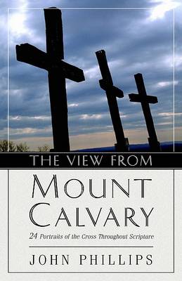 Book cover for The View from Mount Calvary