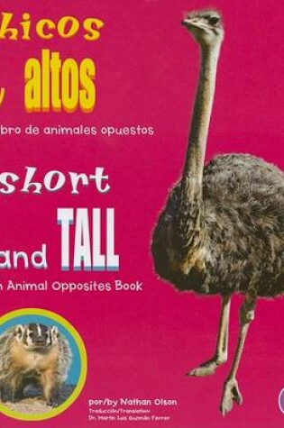 Cover of Chicos Y Altos/Short and Tall
