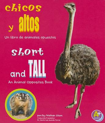 Book cover for Chicos Y Altos/Short and Tall