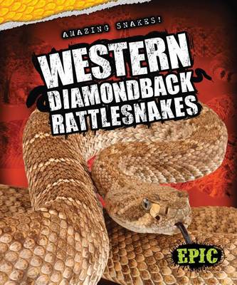 Cover of Western Diamondback Rattlesnakes