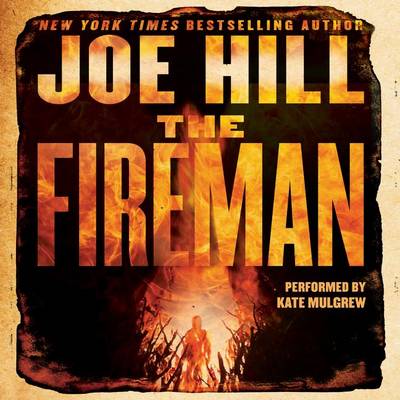 Book cover for The Fireman