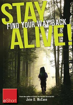Book cover for Stay Alive - Find Your Way Back Eshort
