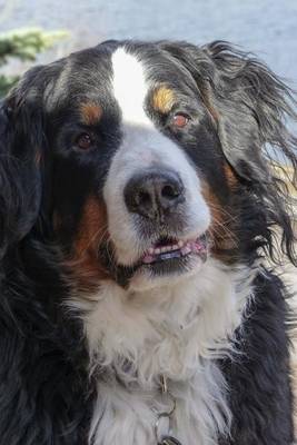 Book cover for Bernese Mountain Dog by the Shore, for the Love of Dogs