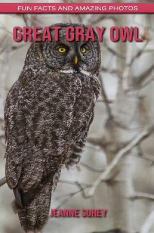Cover of Great Gray Owl
