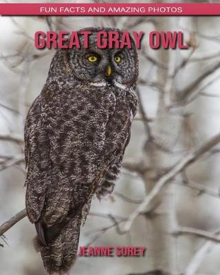 Book cover for Great Gray Owl