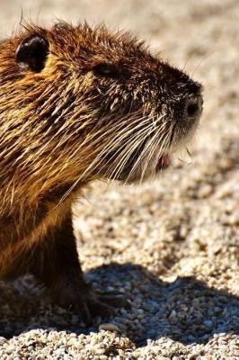 Book cover for Nutria Resting on the Sand Journal