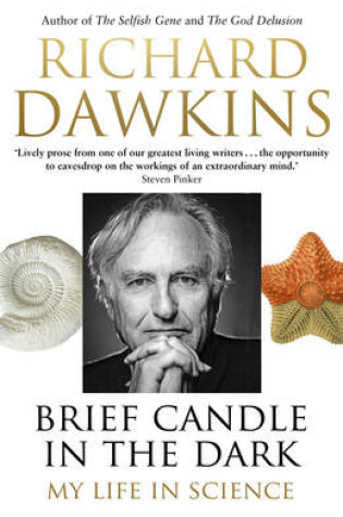 Cover of Brief Candle in the Dark