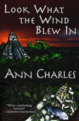 Book cover for Look What the Wind Blew In