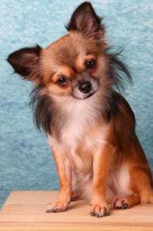 Cover of Curious Long-Haired Chihuahua Puppy Dog Journal