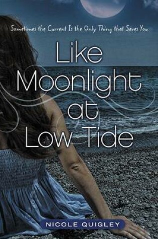 Cover of Like Moonlight at Low Tide