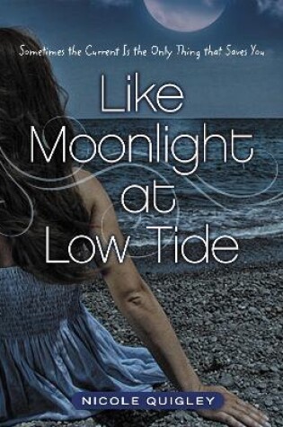 Cover of Like Moonlight at Low Tide