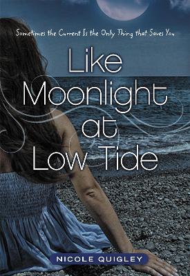 Cover of Like Moonlight at Low Tide