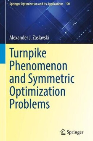 Cover of Turnpike Phenomenon and Symmetric Optimization  Problems