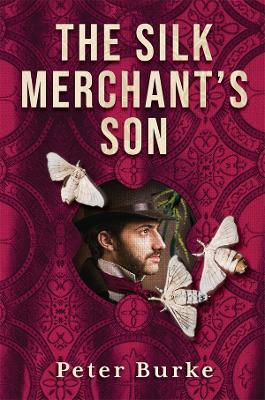 Book cover for The Silk Merchant's Son
