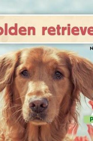 Cover of Golden Retrievers (Golden Retrievers) (Spanish Version)