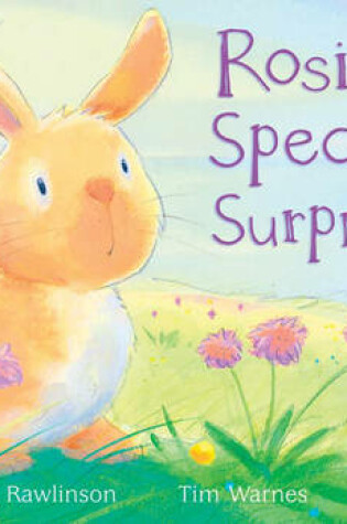 Cover of Rosie's Special Surprise