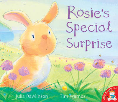 Book cover for Rosie's Special Surprise