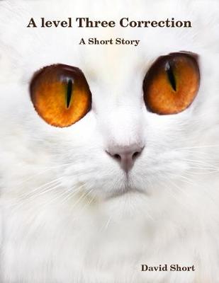 Book cover for A Level Three Correction: A Short Story