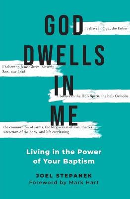 Book cover for God Dwells in Me