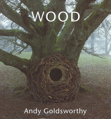 Book cover for Wood: Andy Goldsworthy