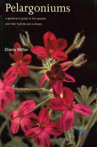 Cover of Pelargoniums: a Gardener's Guide to the Species and Their Hybrids and Cultivars