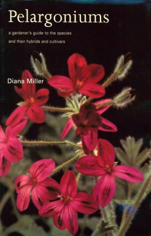 Book cover for Pelargoniums: a Gardener's Guide to the Species and Their Hybrids and Cultivars