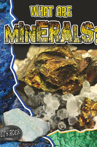 Cover of What Are Minerals?