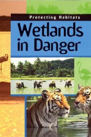 Cover of Wetlands In Danger