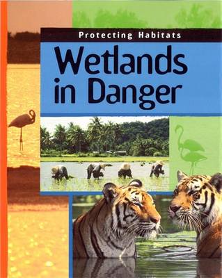 Cover of Wetlands In Danger