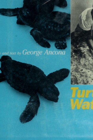 Cover of Turtle Watch