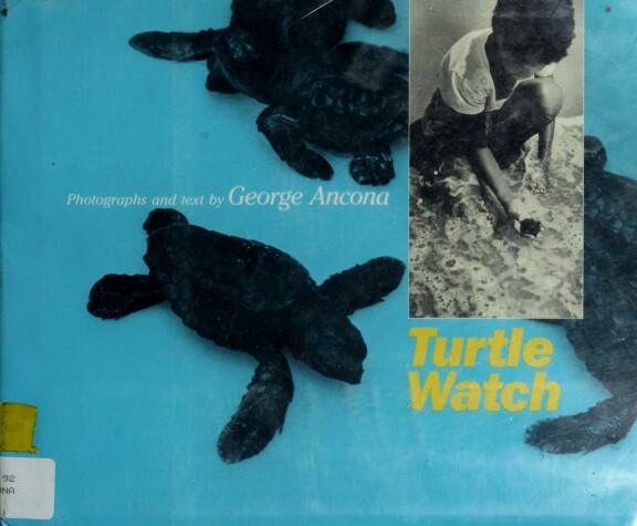 Book cover for Turtle Watch