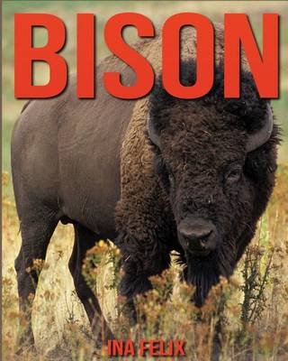 Book cover for Bison