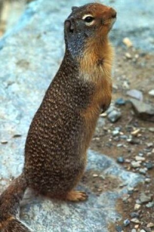 Cover of A Columbian Ground Squirrel in Montana