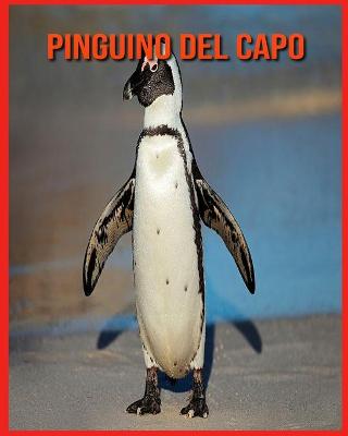 Book cover for Pinguino del Capo