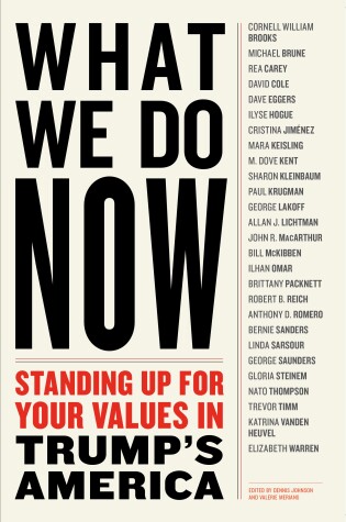 Cover of What We Do Now