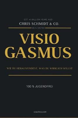 Book cover for Visiogasmus