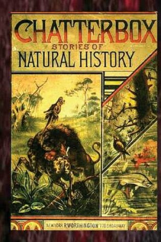 Cover of Chatterbox Stories of Natural History