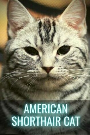 Cover of American Shorthair Cat