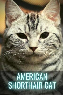 Book cover for American Shorthair Cat