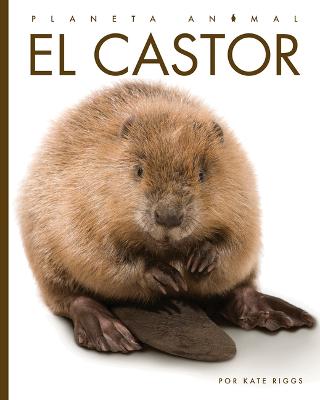 Book cover for El Castor