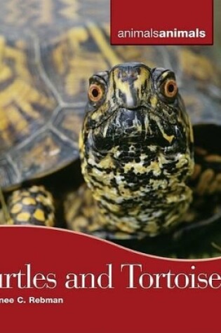 Cover of Turtles and Tortoises