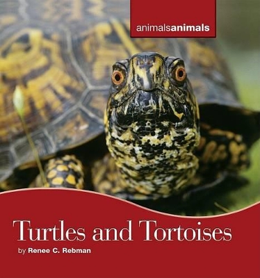 Cover of Turtles and Tortoises