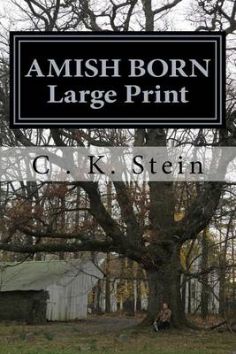 Cover of Amish Born