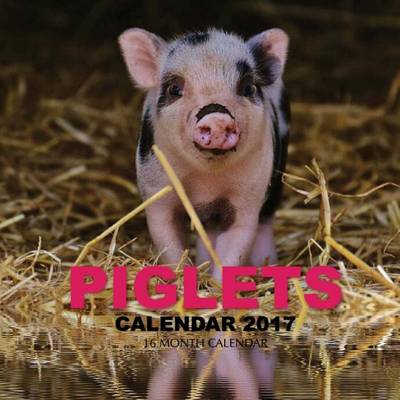 Book cover for Piglets Calendar 2017