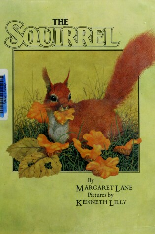 Cover of Lane Margaret : Squirrel (HB)